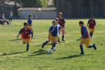 C-Elephants  0054_resize